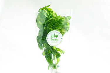 6ct Retail Case - Living Basil
